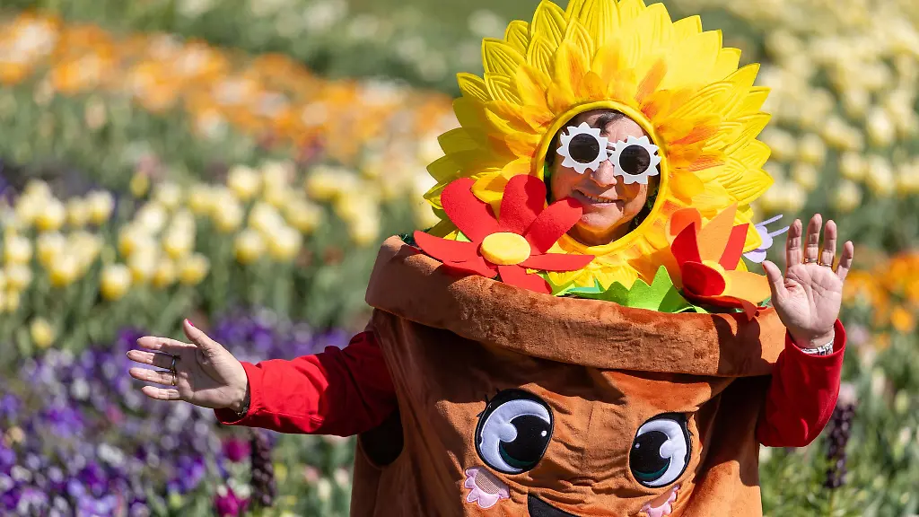 So-oft-die-Landesgartenschau-besuchen-wie-gewollt-mit-nur-einem-Ticket-Die-neue-Halbjahresdauerkarte-ist-nun-zu-haben