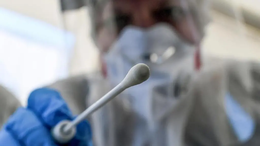 Ein-Abstrichstaebchen-wird-in-die-Kamera-gehalten