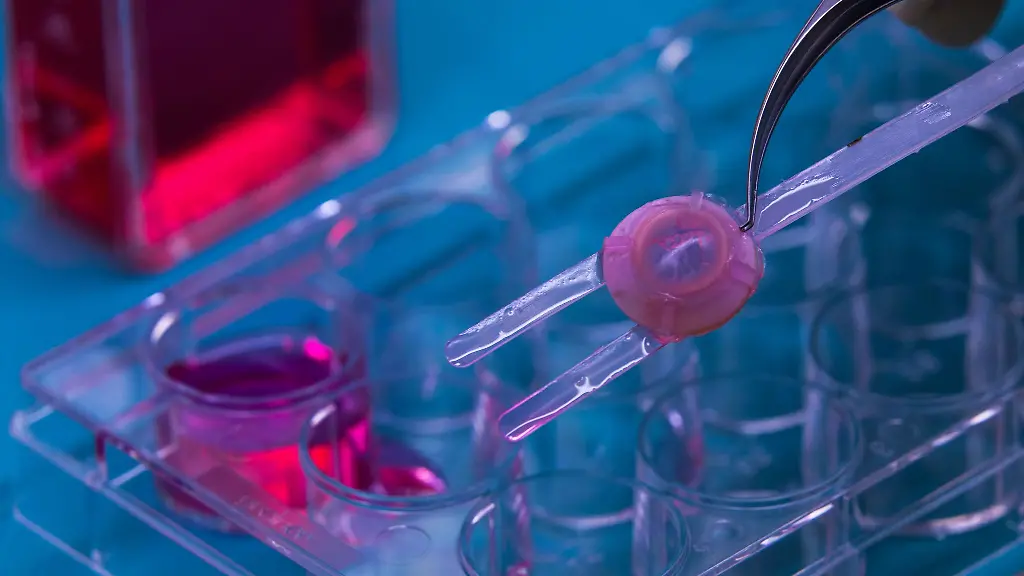 Augenhornhaeute-muessen-vor-der-Transplantation-entsprechend-aufbereitet-werden