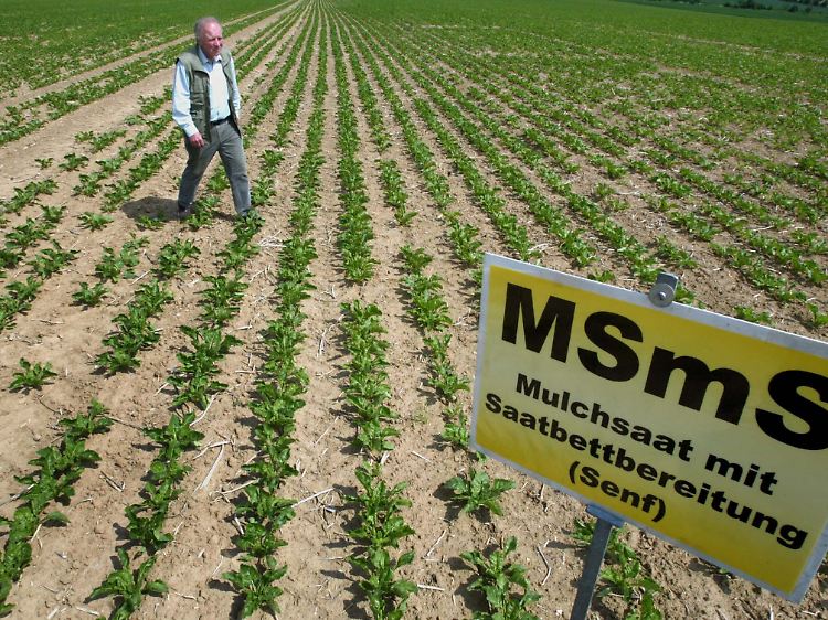 Auf Versuchsfeldern wird in Niedersachsen getestet, wie man Bodenerosion vorbeugen kann.