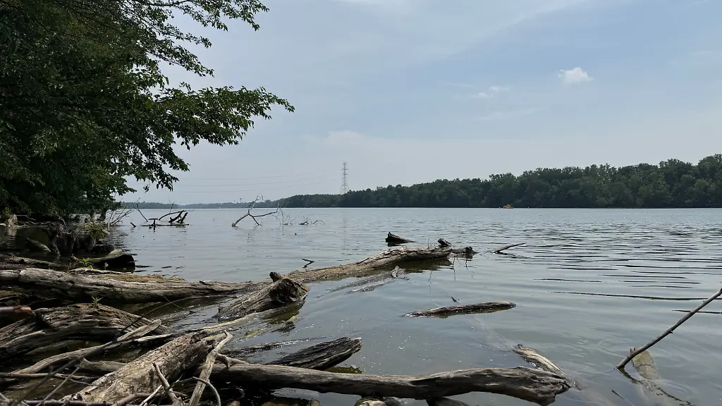 Im-Vorort-Powell-von-Columbus-Ohio-ist-ein-Abschnitt-des-Ufers-des-Scioto-River-zu-sehen