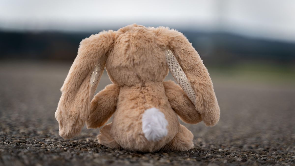 Scheinkindoperationen wichtig: Polizei ermittelt in immer mehr Fällen von Kindesmissbrauch