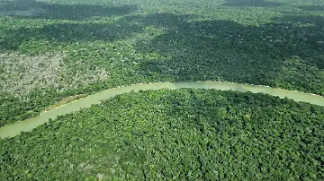 608336447
