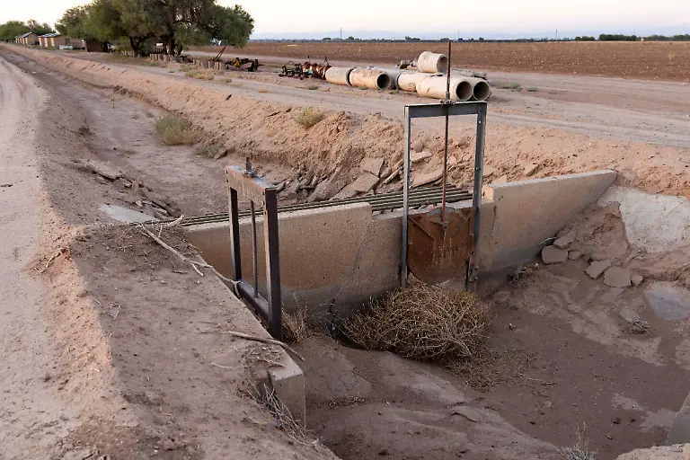 A-tumbleweed-sits-in-a-dry-irrigation-ditch-at-Caywood-Farms-in-Casa-Grande-Arizona-Farmer-Nancy-Caywood-s-approximately-250-acre-100-hectare-alfalfa-and-cotton-farm-relies-entirely-on-irrigation-from-the-San-Carlos-Reservoir-on-the-Gila-River-a-Colorado-River-tributary