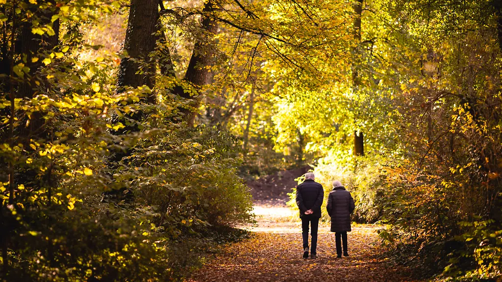 Ein-Senior-und-eine-Seniorin-machen-in-der-morgendlichen-Sonne-einen-Spaziergang-durch-einen-Park-aufgenommen-in-Berlin-20-10-2025