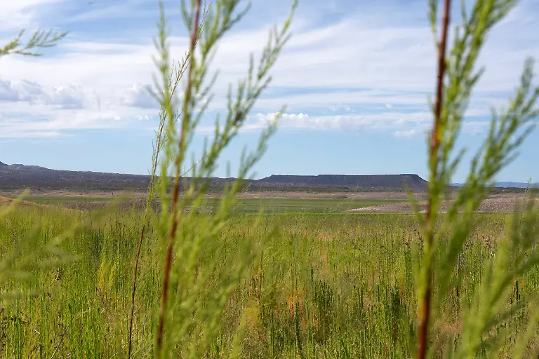 2026-07-15T100758Z_538356394_RC2N6MA5ZC0F_RTRMADP_3_USA-ENVIRONMENT-DROUGHT