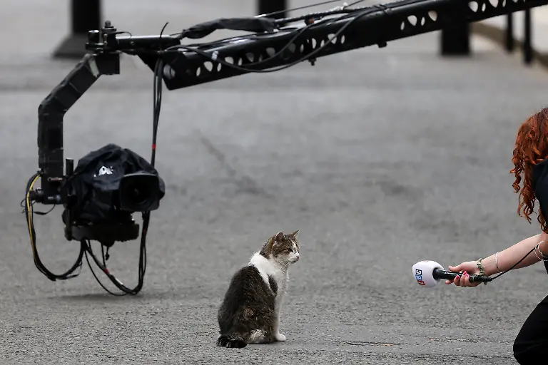 A-member-of-the-media-holds-out-a-microphone-to-Larry-the-cat-ahead-of-the-first-cabinet-meeting-with-British-Prime-Minister-Andy-Burnham-at-10-Downing-Street-in-London-Britain-July-21-2026