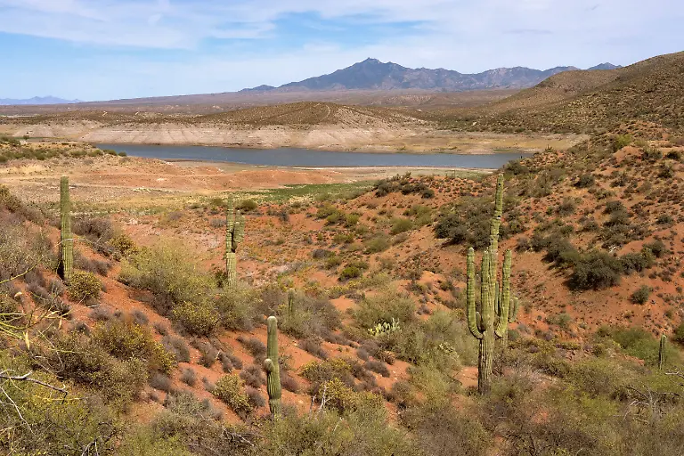 2026-07-21T203802Z_3130814623_MRPRC2M6MAVQVN4_RTRMADP_3_USA-ENVIRONMENT-DROUGHT