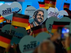 "Keine Wirtschaftspartei": Wirtschaftsverbände warnen eindringlich vor AfD-Plänen