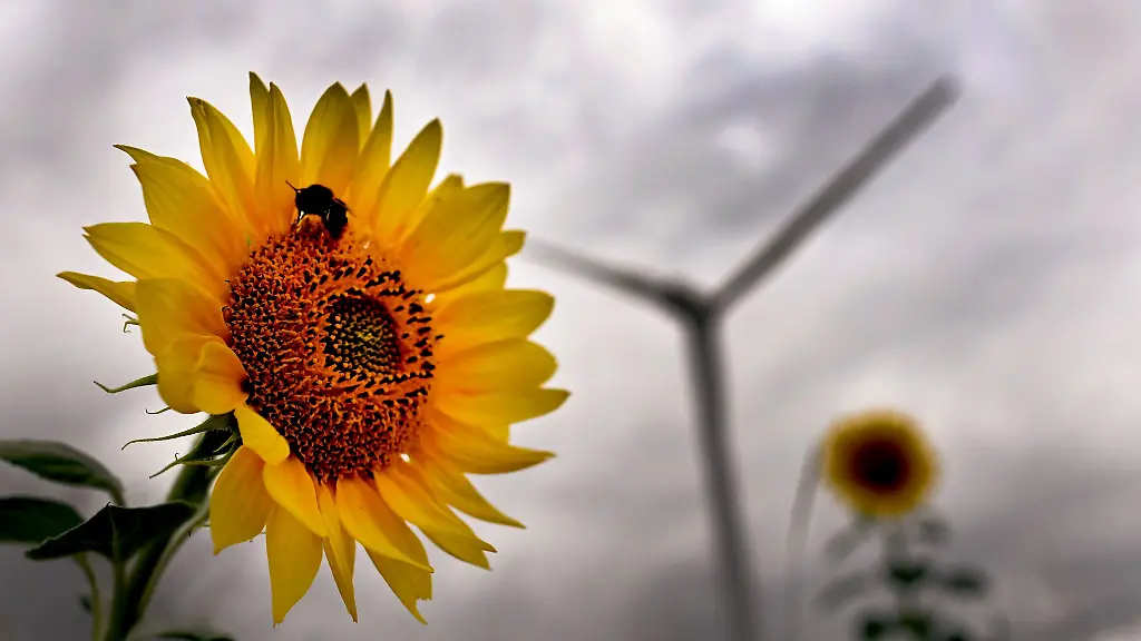 In-Nordrhein-Westfalen-ist-das-Wetter-in-den-kommenden-Tagen-wechselhaft