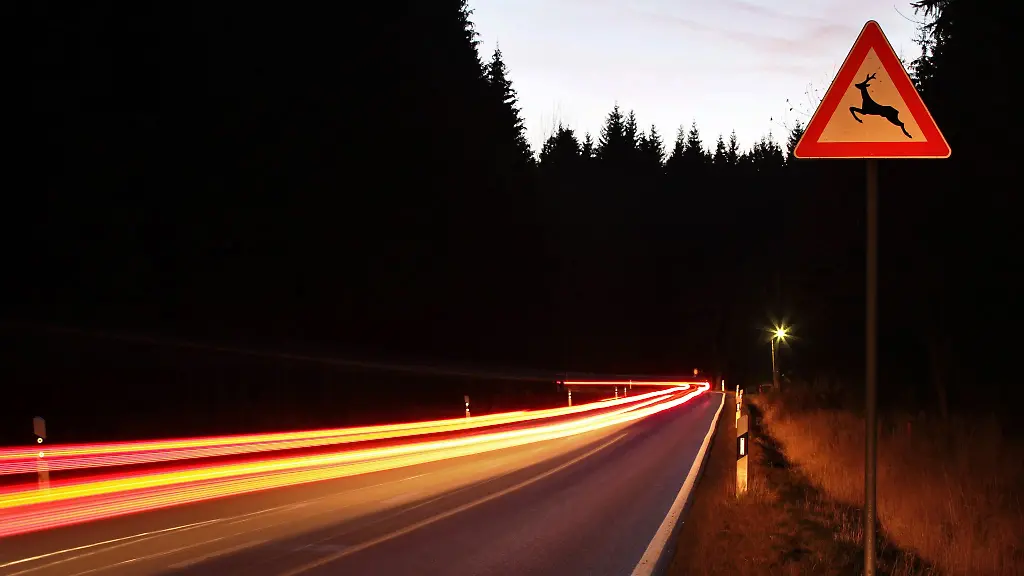 Nach-sechs-Wildunfaellen-innerhalb-von-knapp-zwei-Stunden-im-Raum-Gotha-raet-die-Polizei-Autofahrern-zu-besonderer-Vorsicht-bei-Wildwechsel