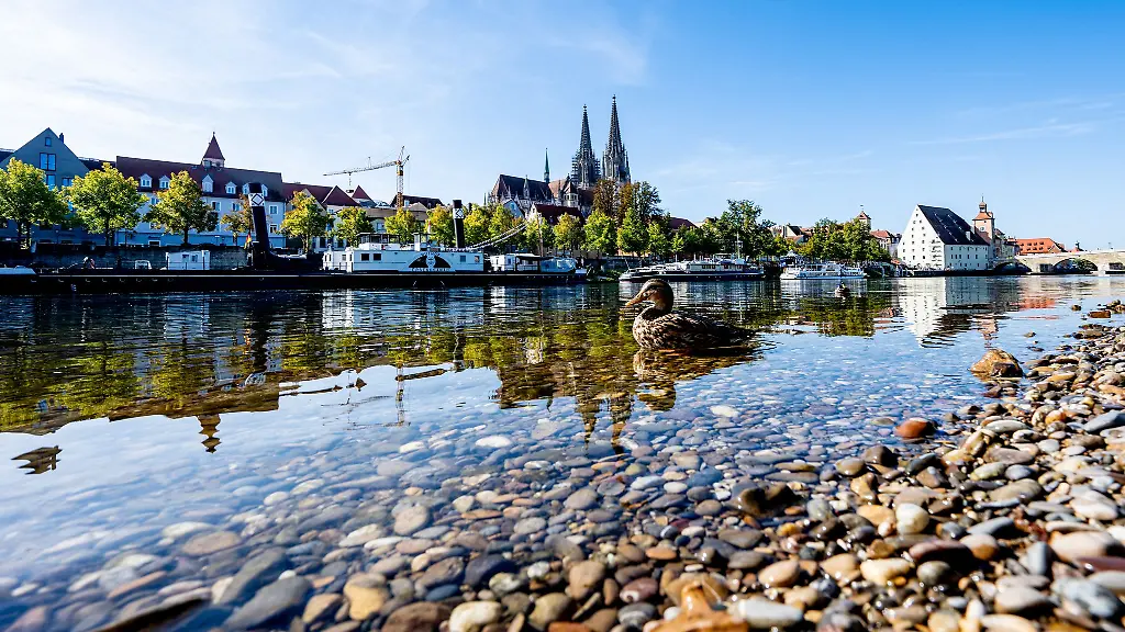 Entwarnung-Das-Wasser-der-Donau-soll-keine-gefaehrlichen-Blaualgen-enthalten