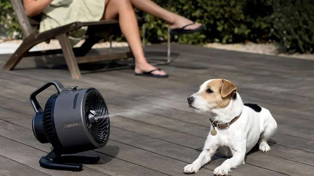 Wir-finden-taeglich-die-besten-Deals-fuer-Haushalt-Technik-Tarife-und-Co