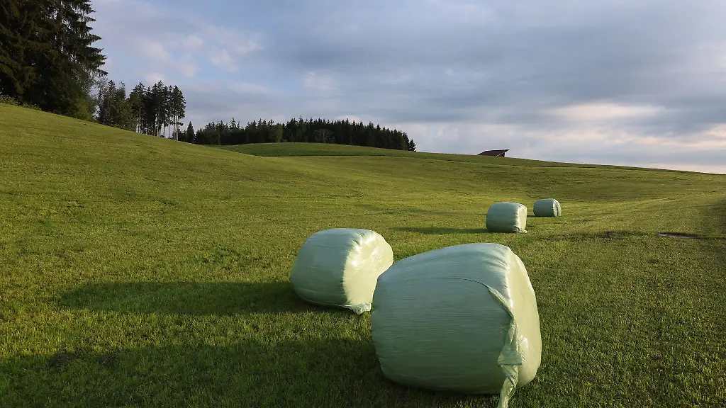 Mit-sommerlichen-Temperaturen-in-Bayern-geht-es-ins-Wochenende