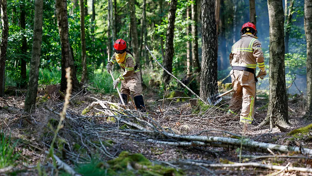 Rund-80-Einsatzkraefte-verhinderten-die-Ausbreitung-des-Waldbrands