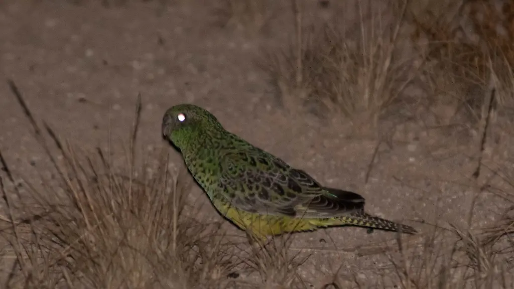 63edc5bb41b4d06b77349df8479c4e10