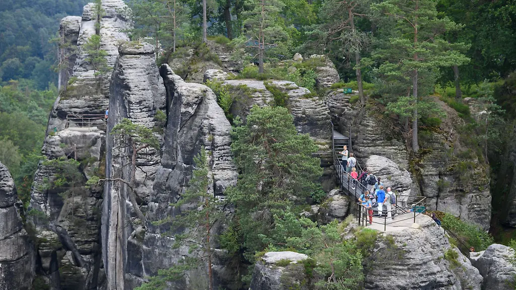 Unbekannte-haben-in-der-Saechsischen-Schweiz-mehrere-Flaechen-beschaedigt
