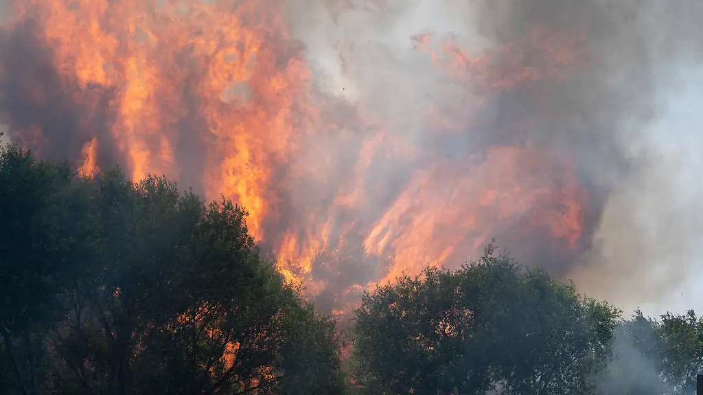 Waldbrand-an-der-Landstrasse-M-206-zwischen-Torrejon-und-Loeches