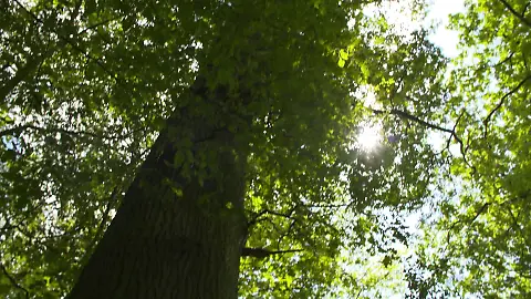 KoelnNews_342716558_1125