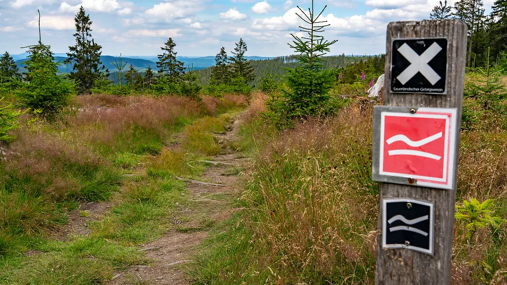 Wandern-im-Sauerland-Weg-bei-Jagdhaus-Wanderzeichen-Rothaarsteig-Ortsteil-von-Schmallenberg-NRW-Deutschland