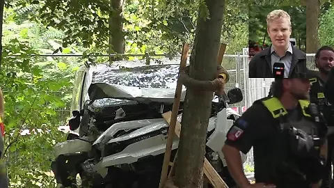 Auto Tiergarten