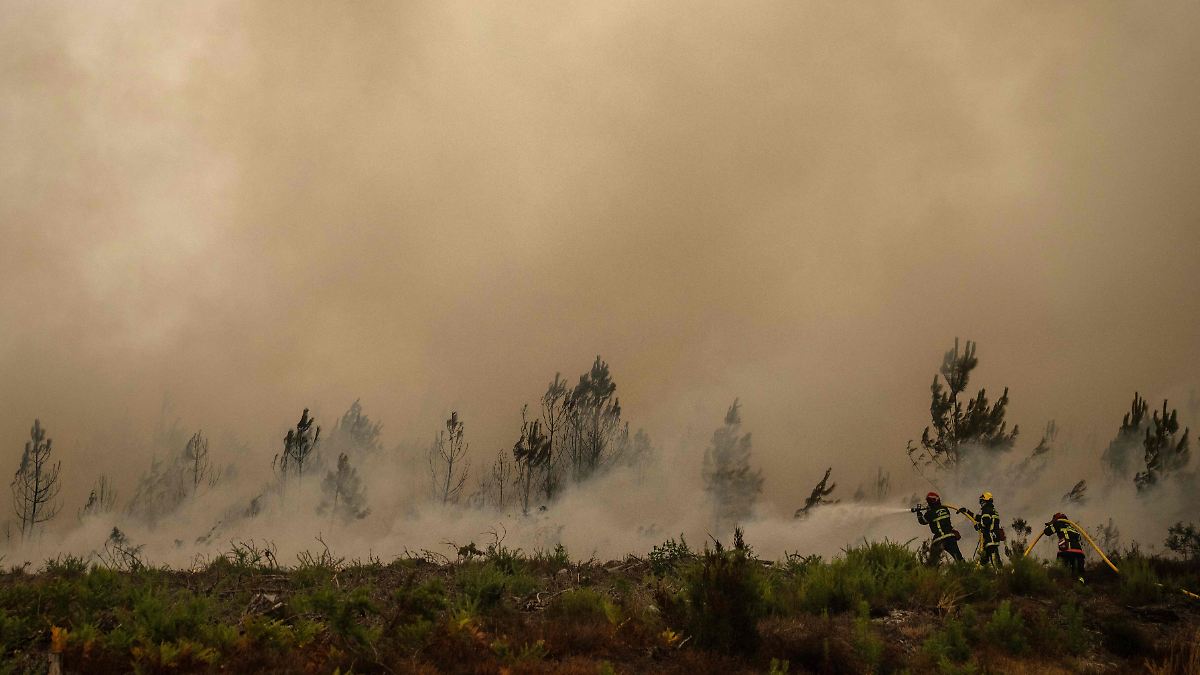Fires in France: Flames are approaching the greater Bordeaux area ...