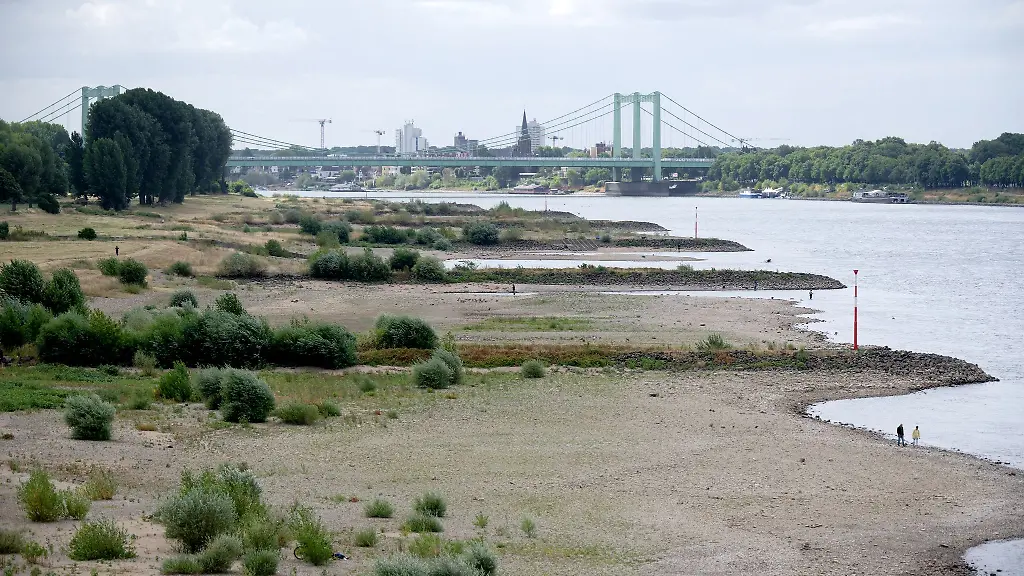 Der-Rhein-mit-Niedrigwasser-fliesst-an-den-trockenen-Rheinwiesen-bei-Koeln-vorbei