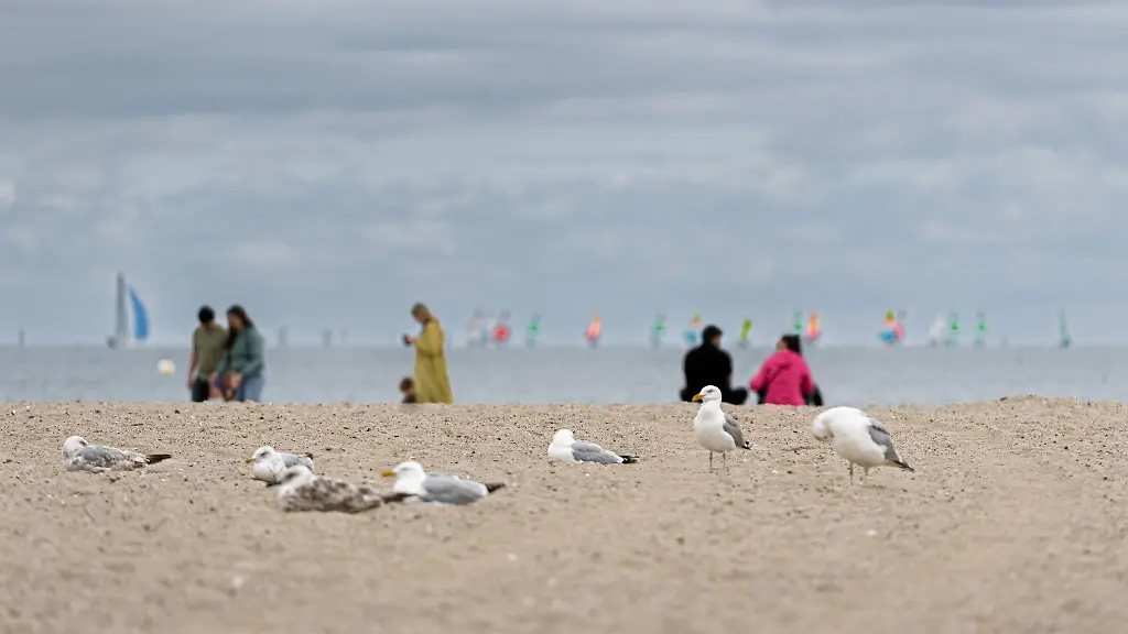 Die-Ostsee-gehoert-zu-den-Reisezielen-der-NRW-Minister