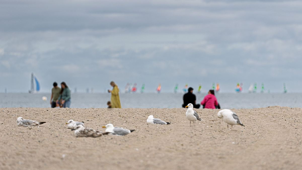 Nordrhein-WestfalenDer kleine Reise-Atlas der NRW-Politik und was er uns verrät