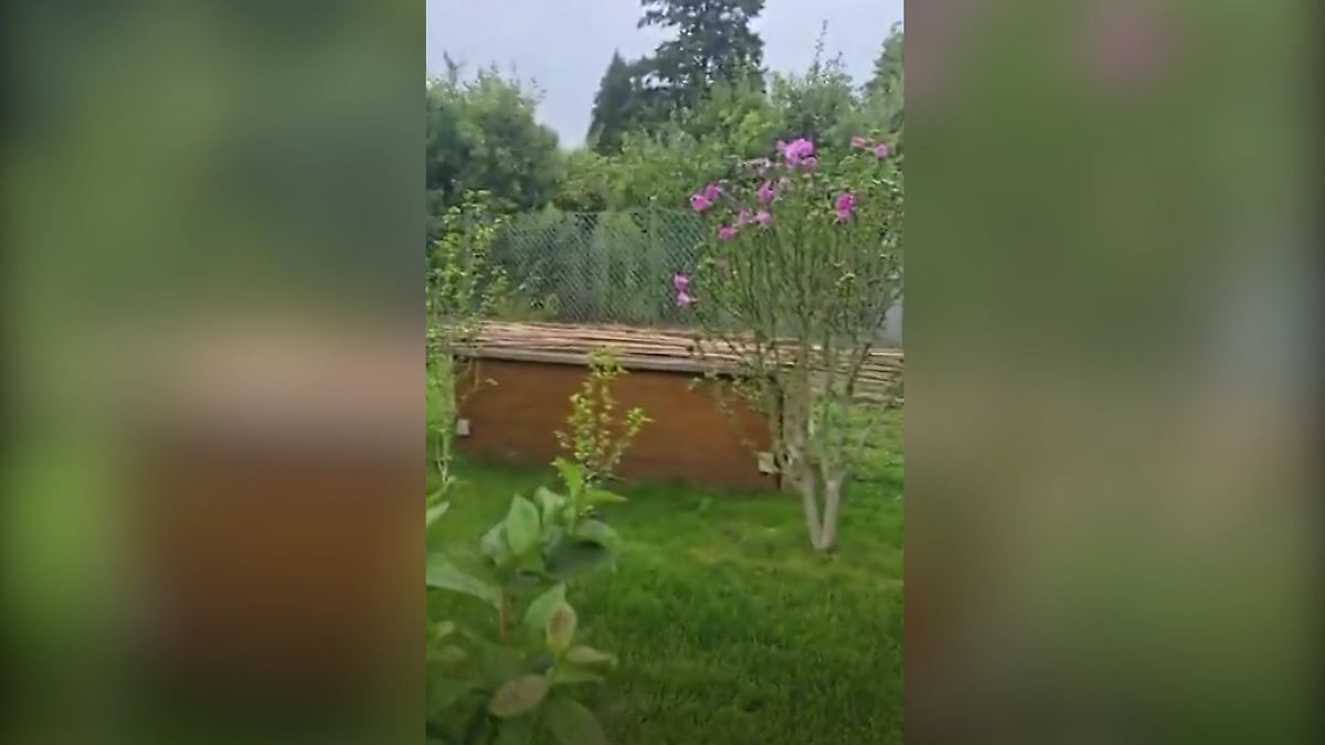 Schüsse zu hören - Video-Ton fängt Zugriff in Berlin ein