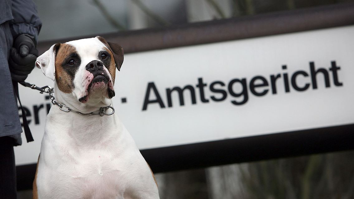 Wird ein Hund entgegen der Vereinbarung im Mietvertrag gehalten, ist dies ein Kündigungsgrund.