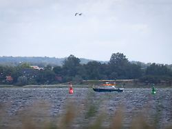 Das Polizeiboot Uecker Faehrt In Der Wismarer Bucht Im Hafen Von Wismar An Der Deutschen Ostseekueste Ist Erneut Ein Wal Aufgetaucht