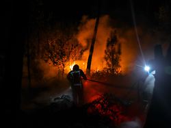 Historische Feuer-Saison: Was befeuert die Brände in Frankreich und Spanien?
