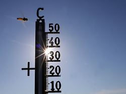Höhepunkt am Donnerstag: Hitzewelle rollt vom Südwesten an und bringt bis zu 40 Grad