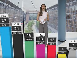 RTL/ntv-Trendbarometer: AfD jetzt sechs Punkte vor Union - Linke überholt SPD episode artwork