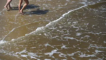 610006679