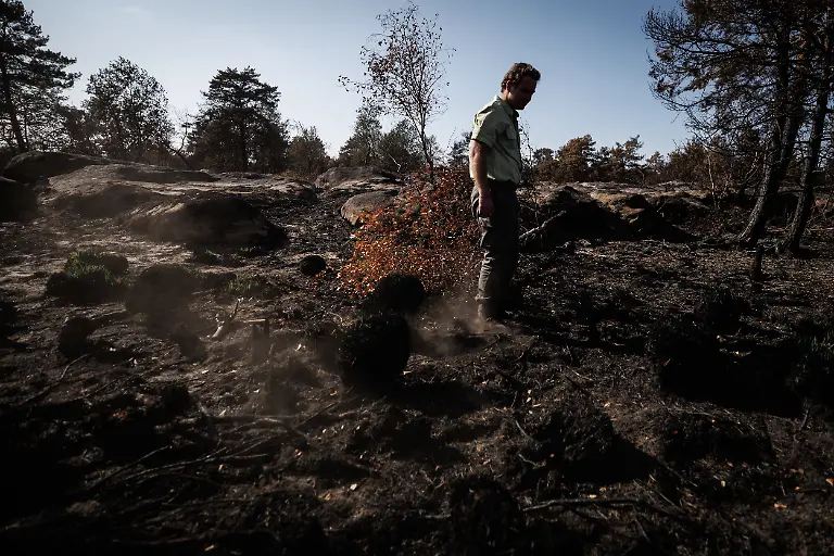 Thomas-Legout-a-staff-member-of-the-National-Forests-Office-ONF-looks-at-a-burned-aera-following-a-fire-in-the-Fontainebleau-Forest-in-Noisy-sur-Ecole-in-the-Paris-Ile-de-France-region-on-July-21-2026-A-volunteer-firefighter-who-was-suspected-of-starting-a-fire-in-France-s-historic-Fontainebleau-forest-was-placed-under-formal-investigation-and-remanded-in-custody-on-July-15-2026-a-prosecutor-said-In-all-six-people-have-been-arrested-as-part-of-the-investigation-into-the-wildfires-which-burned-more-than-2-000-hectares-since-July-12-in-the-fire-front-in-the-Fontainebleau-forest