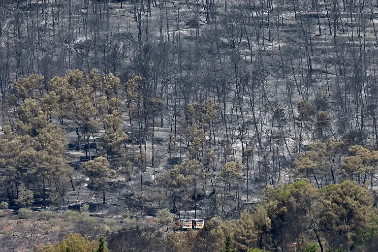 This-photograph-shows-the-burnt-trees-following-a-wildfire-in-Taradeau-in-Var-department-of-Provence-Alpes-Cote-d-Azur-region-southeastern-France-on-July-20-2026-The-fire-which-broke-out-in-Taradeau-in-the-afternoon-of-July-19-jumped-significant-distances-to-reach-the-neighboring-municipality-of-Les-Arcs-sur-Argens-It-burned-200-hectares-destroyed-four-houses-and-15-vehicles-and-affected-around-ten-other-homes