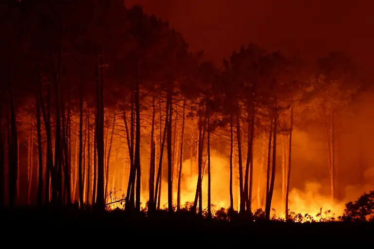 epi_1050690563_REUTERSFOTO_2026-07-26T071318Z 1534274256 RC28LMAJSZ8O RTRMADP 3 EUROPE-WEATHER-FRANCE-WILDFIRE.JPG_Wildfire at Ares, Gi