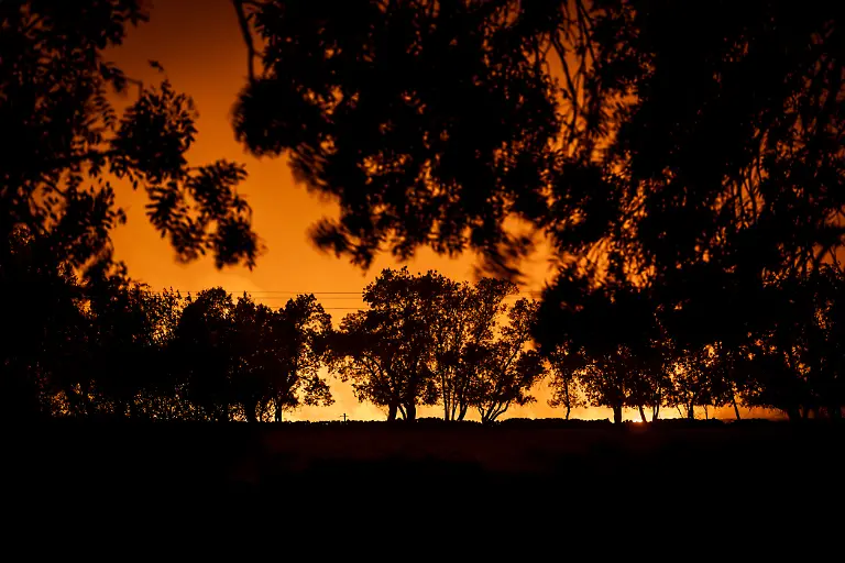LA-ADRADA-AVILA-SPAIN-a-JULY-26-The-glow-of-a-wildfire-illuminates-trees-and-the-night-sky-near-the-town-of-La-Adrada-in-the-province-of-Avila-Spain-on-July-26-2026-Firefighting-operations-continued-overnight-as-crews-worked-to-contain-the-blaze-threatening-nearby-communities