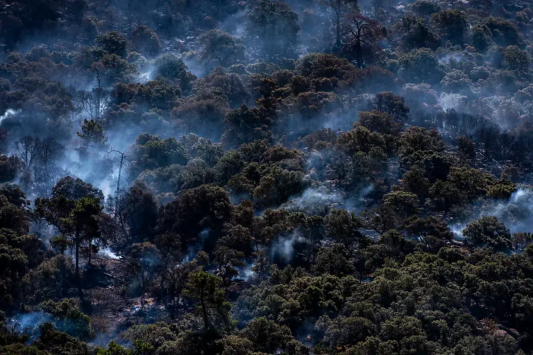 ROBLEDO-DE-CHAVELA-MADRID-SPAIN-JULY-25-Burning-trees-on-25-July-2026-in-Robledo-de-Chavela-Madrid-Spain-NASA-has-stated-that-it-will-assess-any-potential-damage-to-the-Madrid-Deep-Space-Communications-Complex-MDSCC-in-Robledo-de-Chavela-Madrid-once-it-is-safe-to-do-so-after-the-wildfire-affecting-the-area-swept-through-the-facilities-which-had-previously-been-evacuated-as-a-precaution
