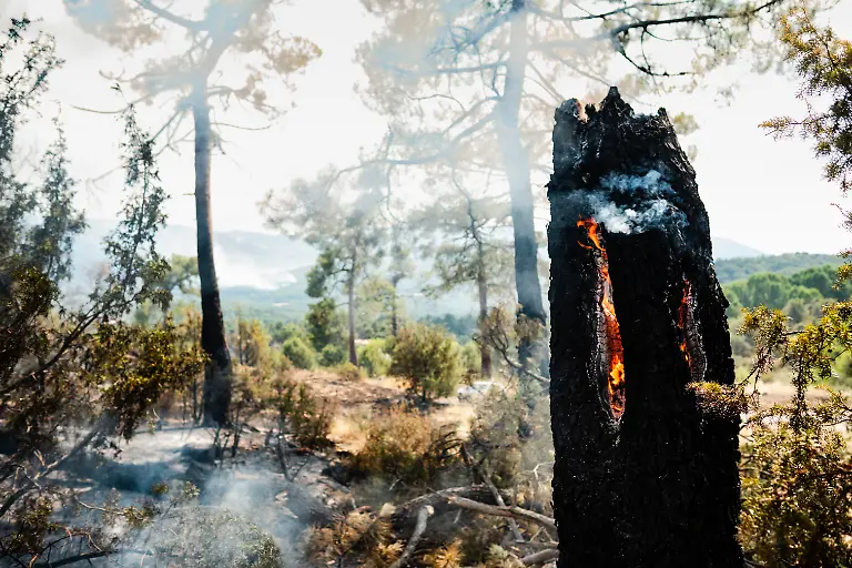 AVILA-CASTILE-AND-LEON-SPAIN-JULY-25-View-of-the-wildfire-in-the-Tietar-Valley-on-25-July-2026-in-Avila-Castile-and-Leon-Spain-The-forest-fire-in-Burgohondo-Avila-now-in-its-fourth-day-this-Saturday-has-led-to-the-order-for-the-precautionary-evacuation-of-the-villages-of-Piedralaves-La-Adrada-Casillas-Sotillo-Santa-Maria-del-Tietar-Navahondilla-and-Casavieja-following-a-difficult-night-due-to-constantly-changing-weather-conditions-and-the-proximity-of-the-fire-which-is-advancing-from-the-Community-of-Madrid-meanwhile-the-number-of-people-affected-currently-stands-at-5-150-evacuated-and-8-600-confined-to-their-homes