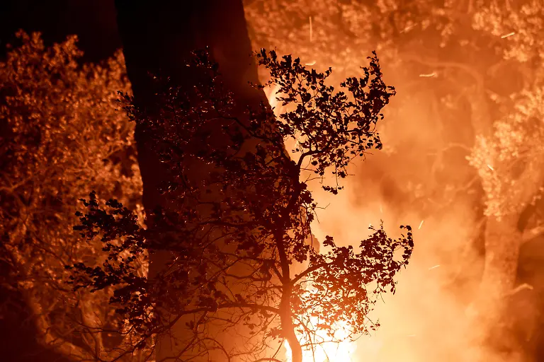 LA-ADRADA-AVILA-SPAIN-a-JULY-26-Flames-engulf-trees-as-a-wildfire-burns-during-overnight-firefighting-operations-in-La-Adrada-in-Spain-s-Avila-province-on-July-26-2026-Fire-crews-continued-battling-the-blaze-through-the-night-as-it-spread-across-forested-areas-threatening-nearby-communities
