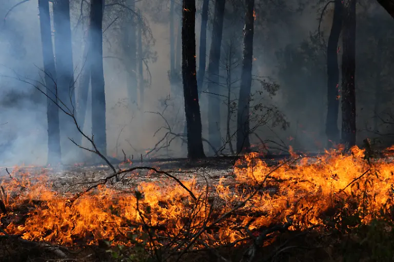 A-picture-taken-on-July-25-2026-in-El-Tiemblo-80-kms-west-of-Madrid-shows-a-wildfire-restarting-in-a-forest-next-to-La-Atalaya-residential-area-amid-wildfires-that-have-burned-up-to-25-000-hectares-Spanish-firefighters-hoped-to-get-control-of-wildfires-raging-near-Madrid-on-Saturday-but-an-official-warned-that-erratic-winds-threatened-to-fan-the-blazes-further-The-worst-wildfires-in-the-Madrid-region-s-history-rage-west-of-the-Spanish-capital-forcing-authorities-to-evacuate-or-order-around-60-000-people-to-remain-indoors