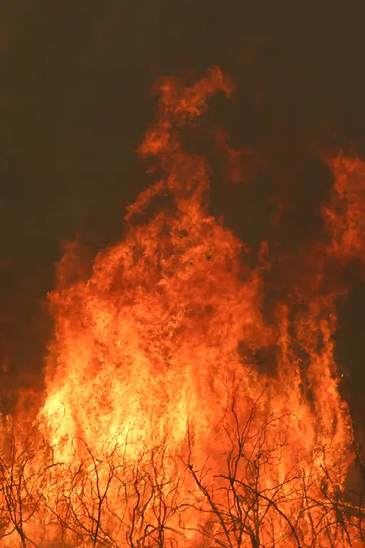This-photograph-shows-a-wooden-area-engulfed-in-flames-in-Marcheprime-west-of-Bordeaux-on-July-26-2026-as-a-wildfire-has-been-ravaging-the-forest-north-of-the-Arcachon-Basin-Gironde-since-July-22-The-fire-that-has-engulfed-the-area-around-the-Arcachon-Basin-and-is-now-threatening-the-outskirts-of-the-Bordeaux-metropolitan-area-has-destroyed-42-000-hectares-of-burned-area-the-Gironde-prefecture-announced-the-prefecture-has-evacuated-a-total-of-220-000-people-since-July-22
