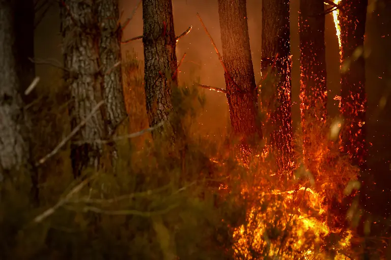 A-forest-fire-rages-in-Saint-Jean-d-Illac-some-30km-from-Bordeaux-on-July-26-2026-as-a-wildfire-has-been-ravaging-the-forest-north-of-the-Arcachon-Basin-Gironde-The-220-000-people-evacuated-due-to-the-massive-wildfire-in-France-s-Gironde-region-will-not-be-able-to-return-home-until-the-fire-has-been-brought-under-control-the-local-prefect-said-also-ruling-out-any-normal-workday-on-Monday-in-the-affected-towns-ahead-of-a-possible-worsening-of-the-situation-on-Tuesday-due-to-an-expected-rise-in-temperatures