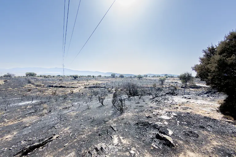 Blick-auf-das-von-einem-Feuer-verwuesteten-Gebiet-in-der-Autonomen-Gemeinschaft-Madrid-Der-Waldbrand-der-am-16-07-2026-ausbrach-zerstoerte-865-Hektar-Wald-und-Buschland-und-zaehlt-damit-zu-den-schwersten-Braenden-die-in-der-Region-jemals-verzeichnet-wurden-Er-zwang-zur-Evakuierung-eines-Kinderferienlagers-und-fuehrte-aufgrund-der-Rauchentwicklung-zur-vorsorglichen-Ausgangssperre-fuer-mehr-als-2-000-Einwohner-Ein-vorbestrafter-Mann-wurde-als-mutmasslicher-Brandstifter-festgenommen-die-Autonome-Gemeinschaft-Madrid-hat-sich-dem-Verfahren-als-Privatklaeger-angeschlossen