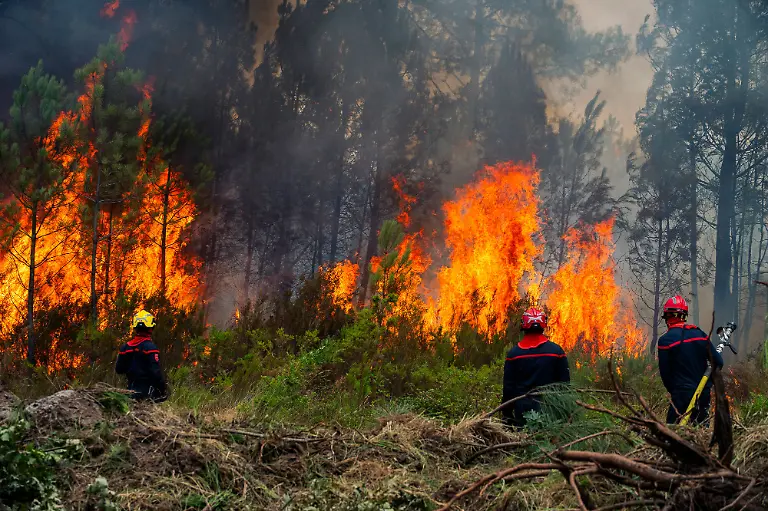 On-Saturday-a-major-wildfire-continued-to-spread-in-Biscarrosse-southwestern-France-causing-significant-damage-to-buildings-businesses-and-surrounding-woodland-Firefighters-remained-heavily-mobilized-on-the-ground-supported-by-Canadair-water-bombing-aircraft-carrying-out-repeated-aerial-drops-to-slow-the-fire-s-progression-and-stabilize-the-situation-Emergency-services-worked-throughout-the-day-to-protect-populated-areas-secure-affected-zones-and-prevent-the-flames-from-spreading-further-The-wildfire-prompted-extensive-firefighting-operations-as-authorities-monitored-the-evolving-conditions