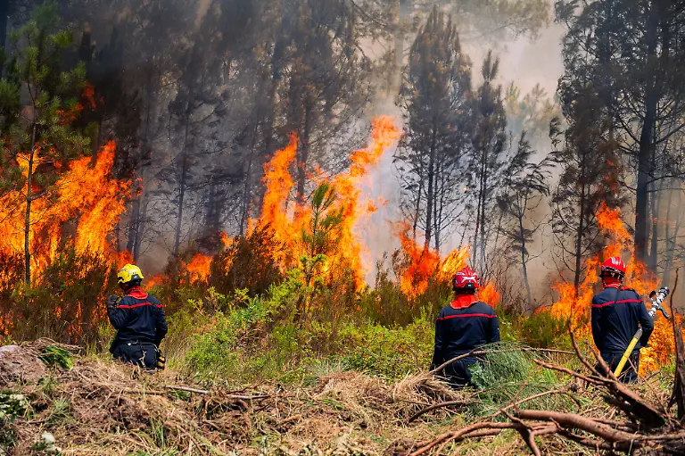 On-Saturday-a-major-wildfire-continued-to-spread-in-Biscarrosse-southwestern-France-causing-significant-damage-to-buildings-businesses-and-surrounding-woodland-Firefighters-remained-heavily-mobilized-on-the-ground-supported-by-Canadair-water-bombing-aircraft-carrying-out-repeated-aerial-drops-to-slow-the-fire-s-progression-and-stabilize-the-situation-Emergency-services-worked-throughout-the-day-to-protect-populated-areas-secure-affected-zones-and-prevent-the-flames-from-spreading-further-The-wildfire-prompted-extensive-firefighting-operations-as-authorities-monitored-the-evolving-conditions