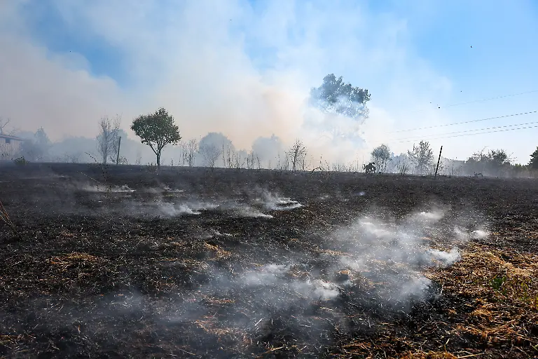 Vom-Feuer-verwuestete-Landschaft